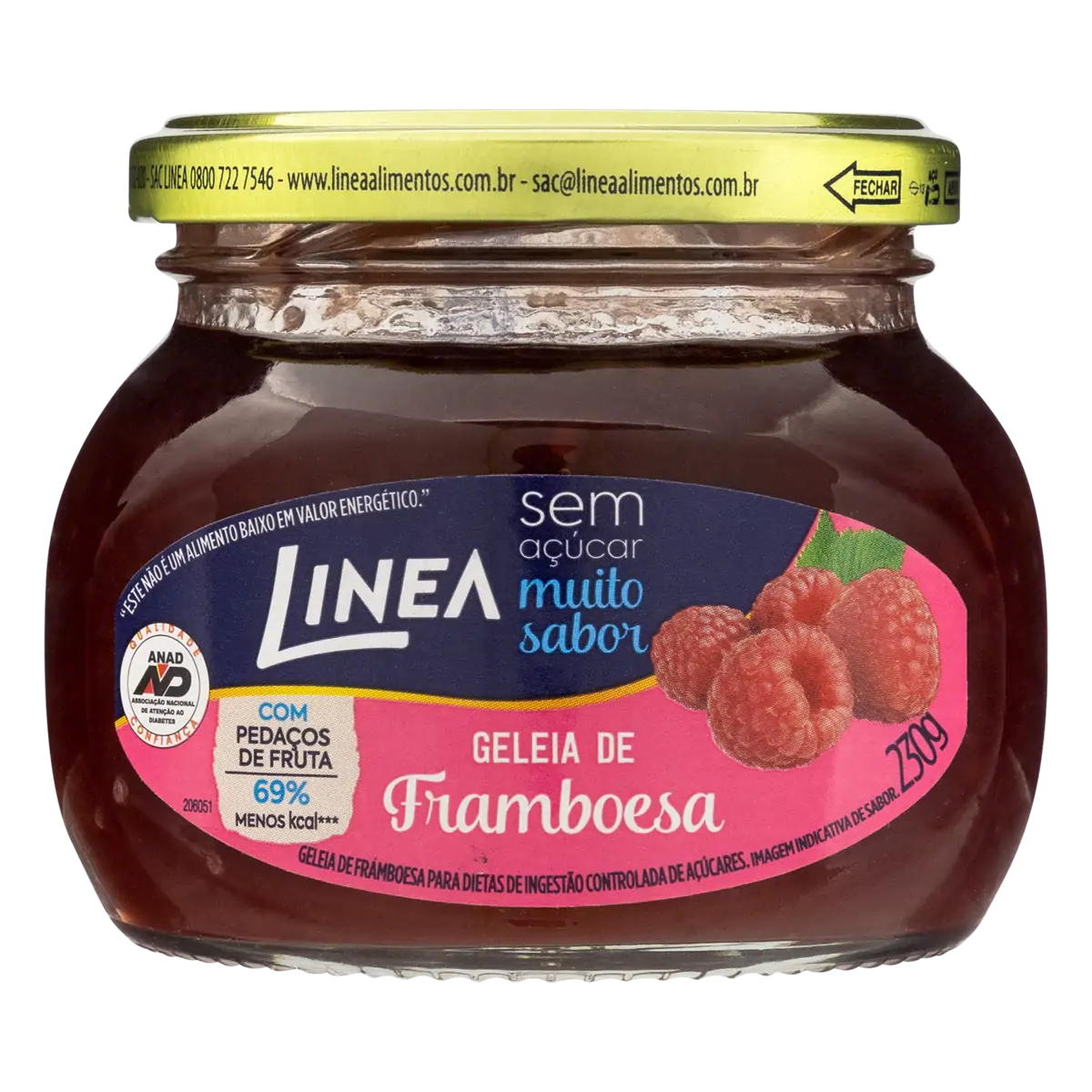 GELEIA LINEA FRAMBOESA DIET         230G