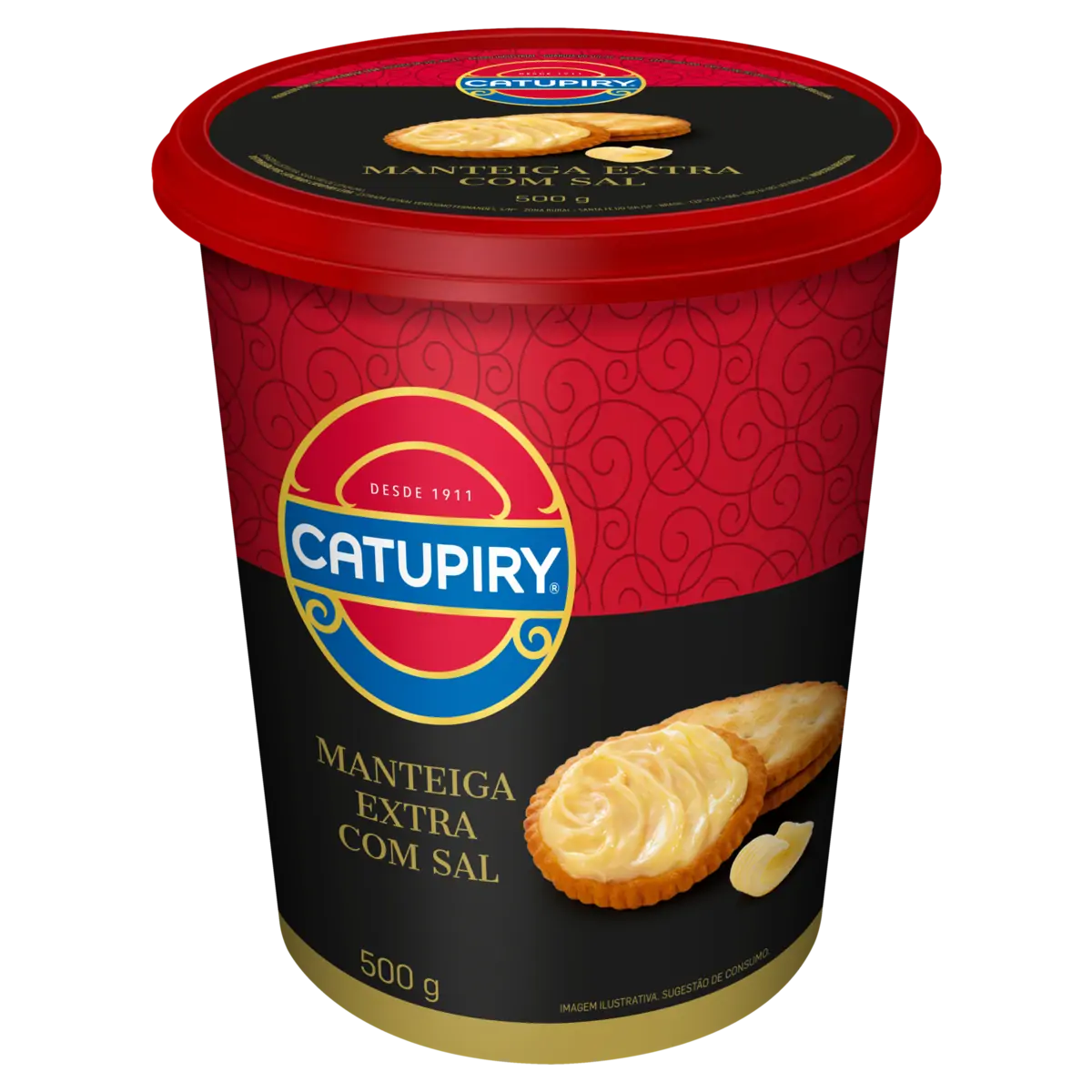 MANTEIGA CATUPIRY C/SAL POTE        500G
